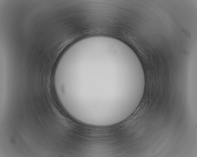 X0000112980164200908270926