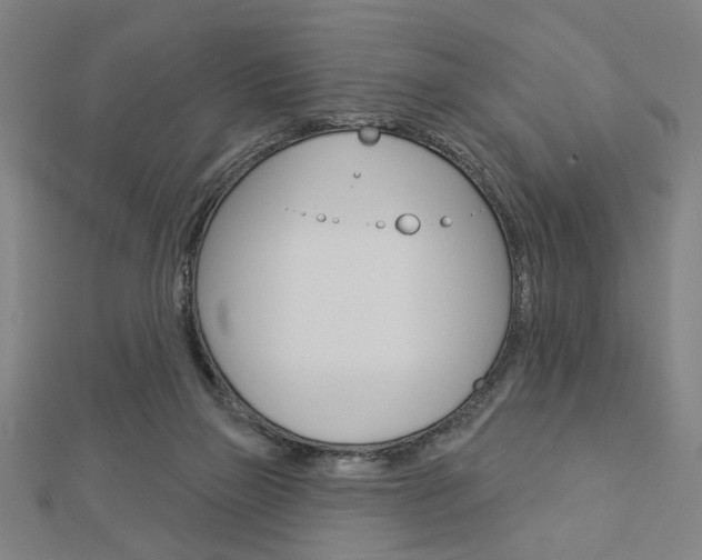 X0000112980165200908270926