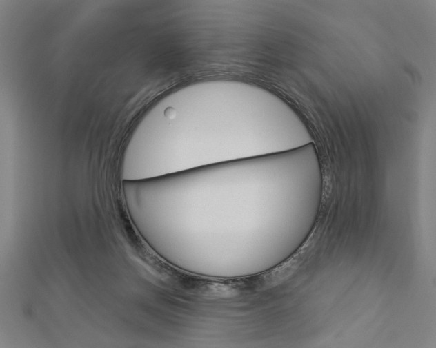 X0000112980166200908270926