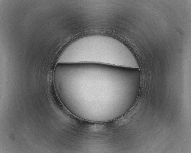 X0000112980168200908270926