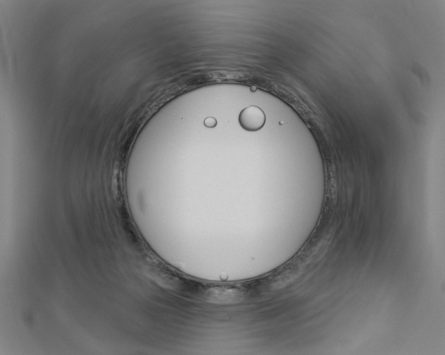 X0000112980169200908270926