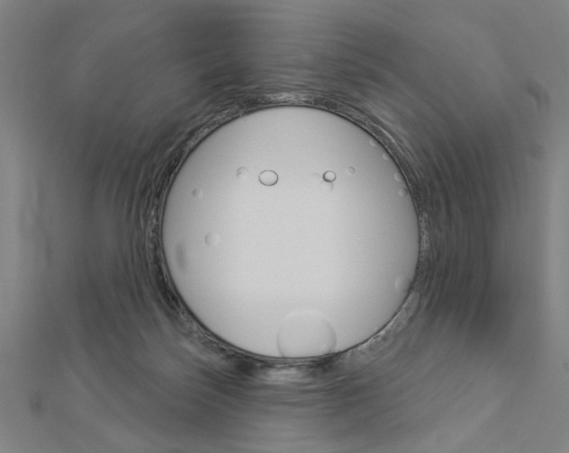 X0000112980171200908270926