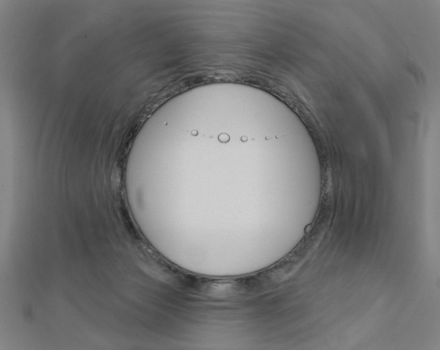 X0000112980173200908270926
