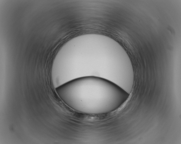 X0000112980174200908270926