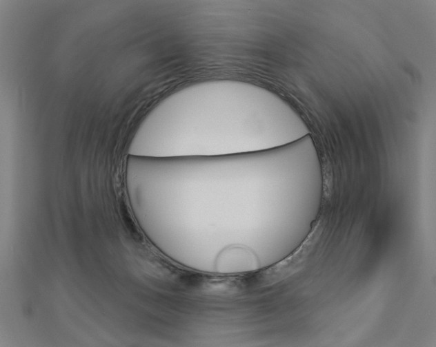 X0000112980175200908270926