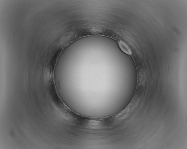 X0000112980176200908270926