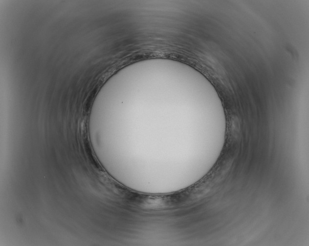 X0000112980177200908270926
