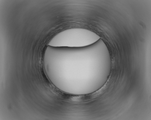 X0000112980178200908270926