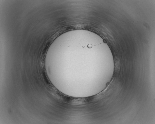 X0000112980179200908270926