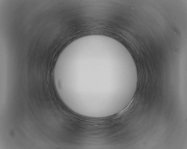 X0000112980180200908270926