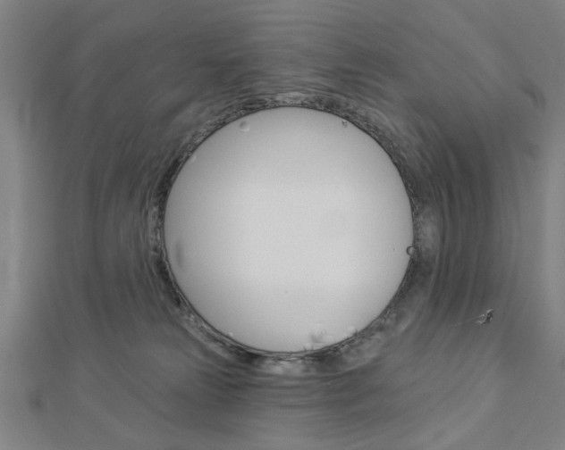 X0000112980181200908270926