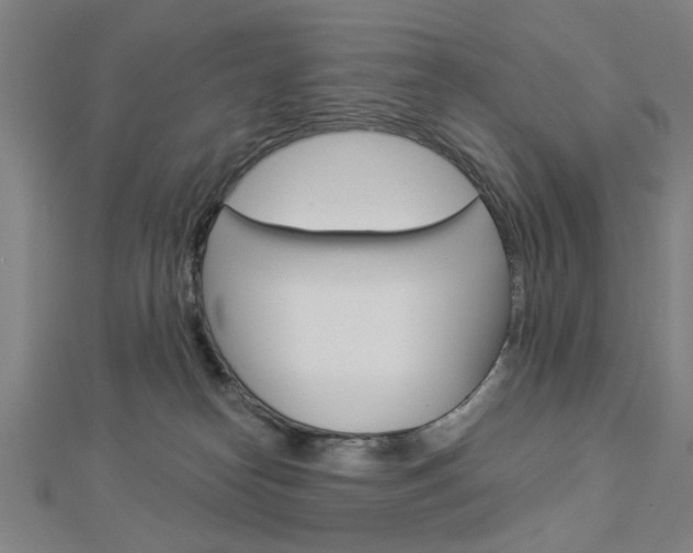 X0000112980182200908270926