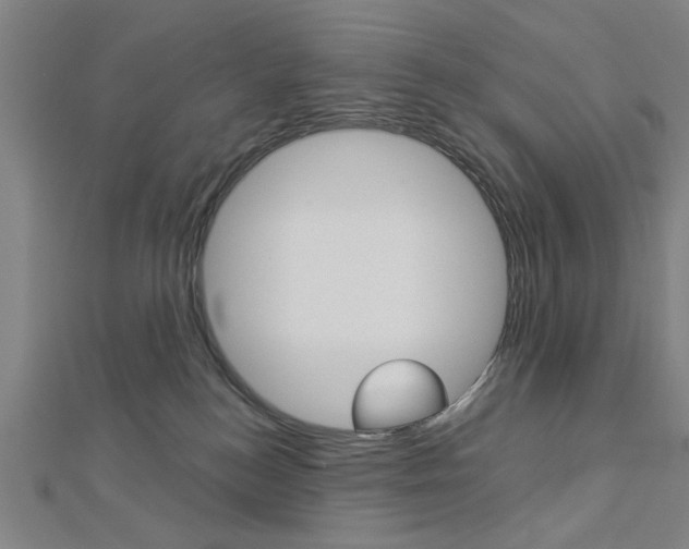 X0000112980184200908270926