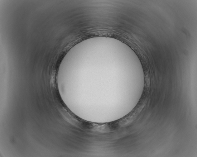 X0000112980185200908270926