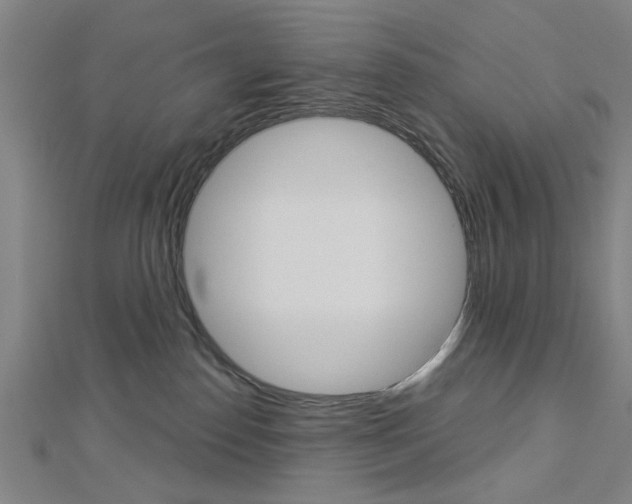 X0000112980186200908270926