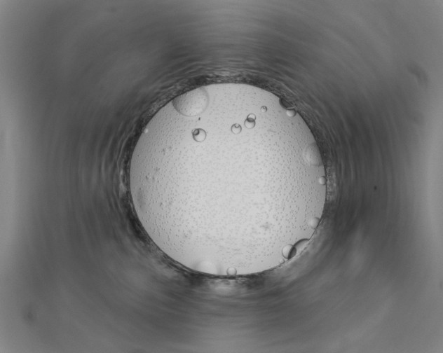 X0000112980187200908270926