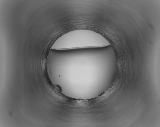 X0000112980188200908270926