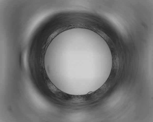 X0000112980189200908270926
