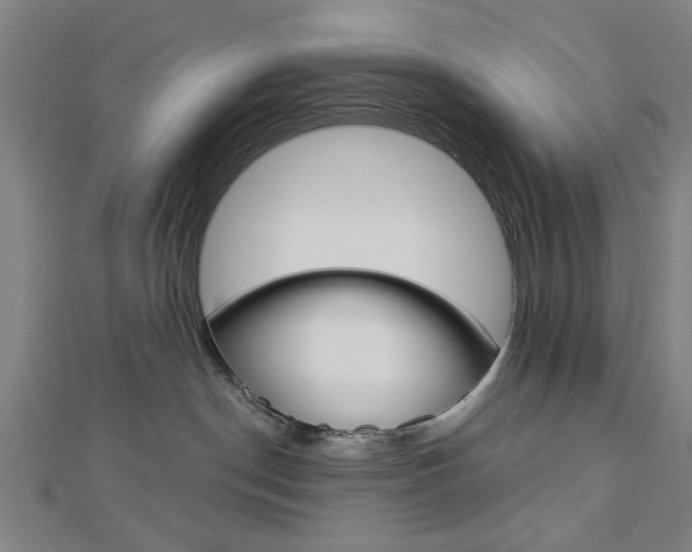 X0000112980190200908270926