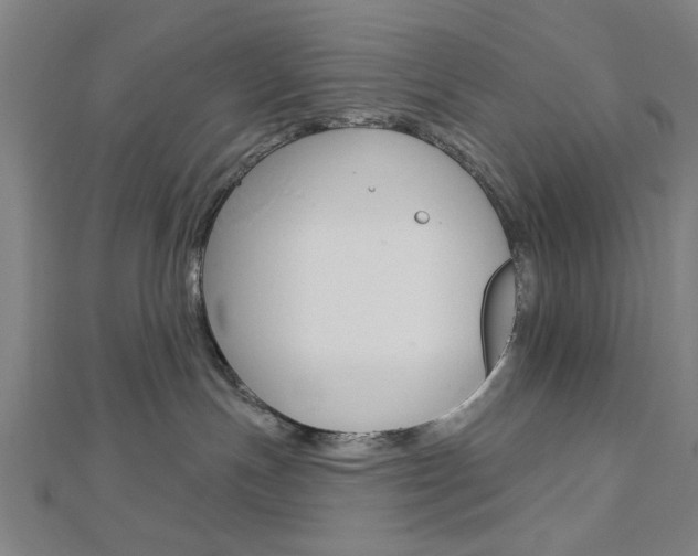 X0000112980191200908270926