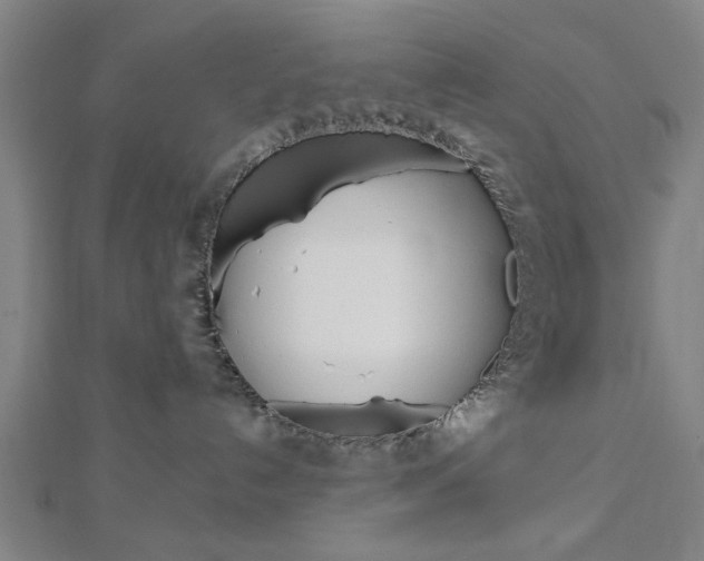 X0000112980192200908270926