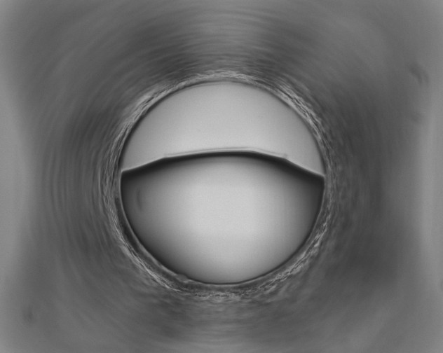 X0000112980193200908270925