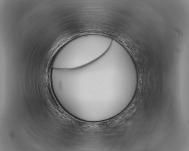 X0000112980194200908270925