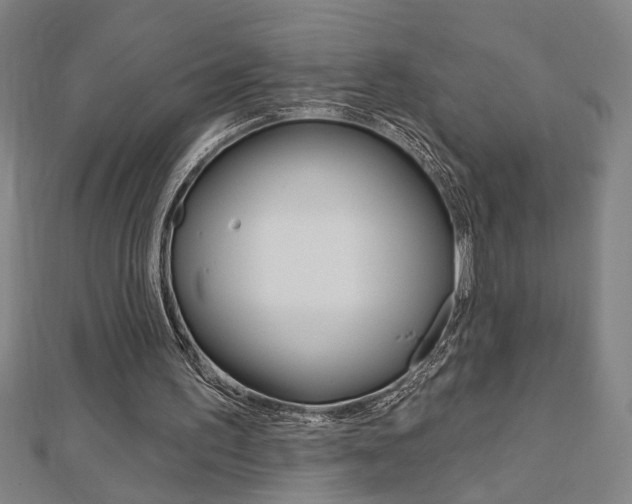 X0000112980195200908270925