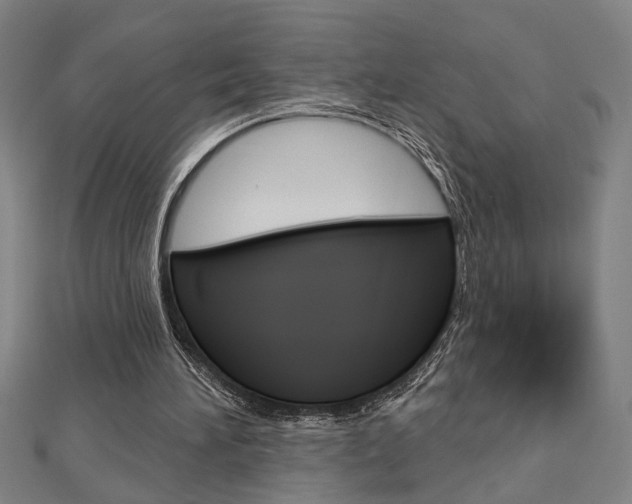 X0000112980196200908270925