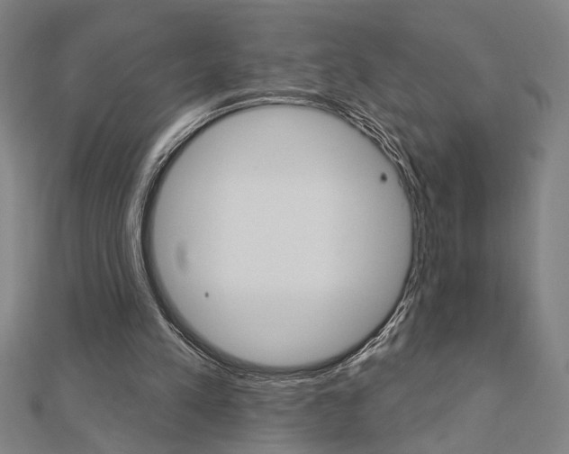 X0000112980197200908270925