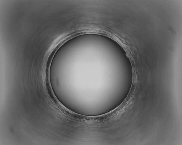 X0000112980199200908270925