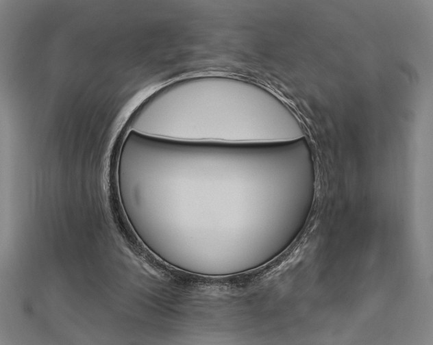 X0000112980200200908270925