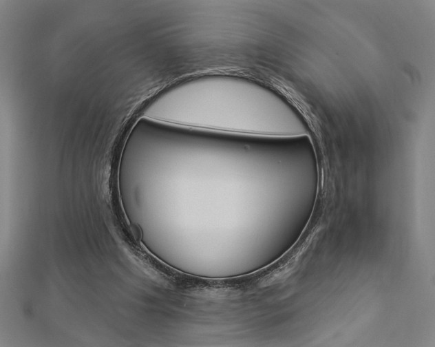X0000112980201200908270925