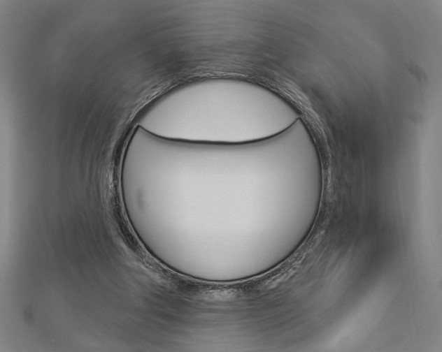 X0000112980202200908270925