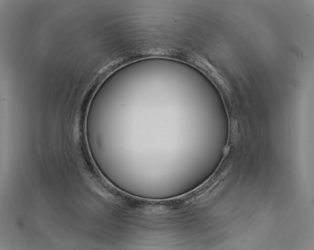 X0000112980203200908270925