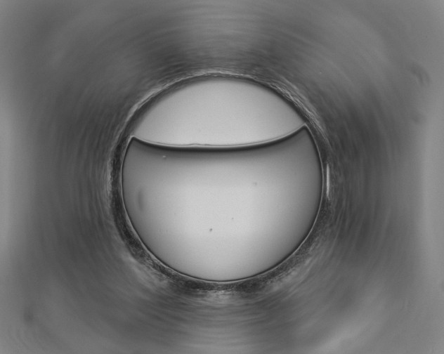 X0000112980204200908270925