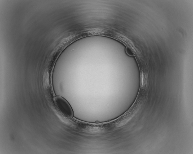 X0000112980205200908270925