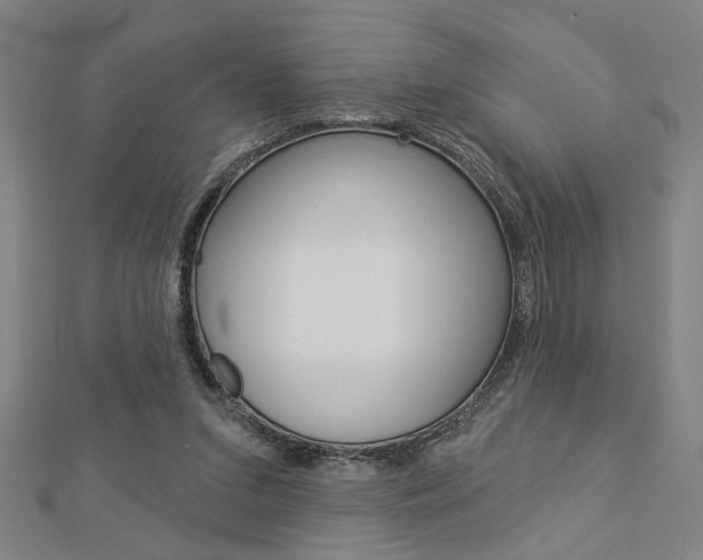X0000112980207200908270925