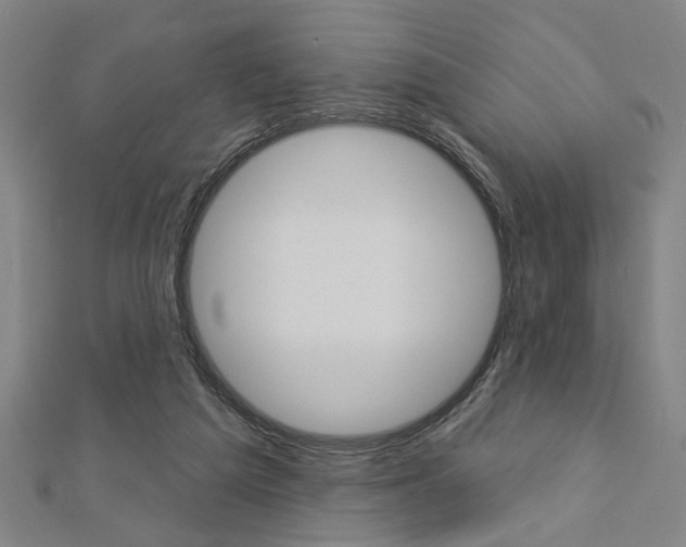 X0000112980209200908270925