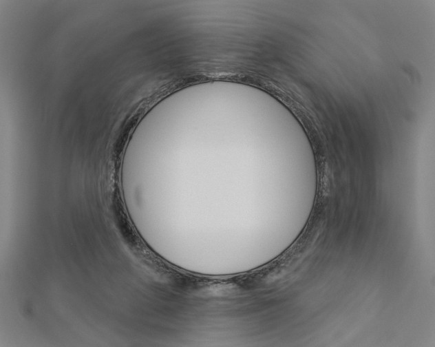 X0000112980210200908270925