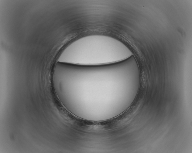 X0000112980212200908270925