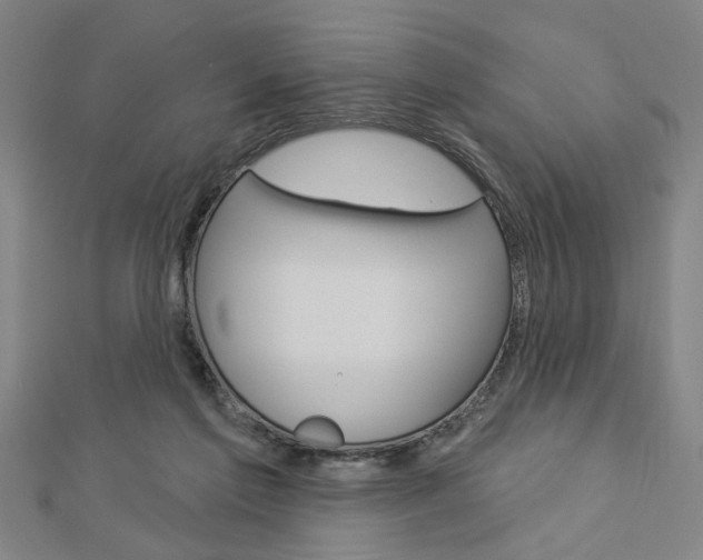 X0000112980213200908270925