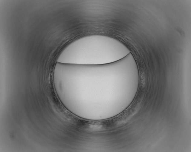 X0000112980214200908270925