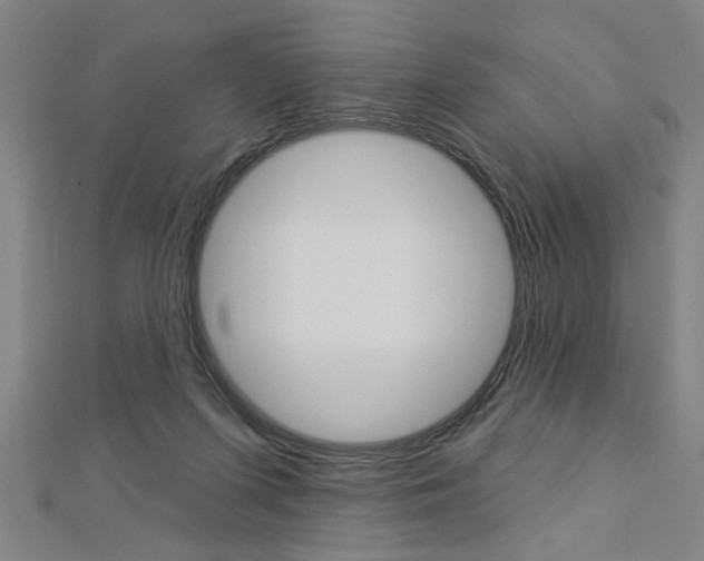 X0000112980215200908270925