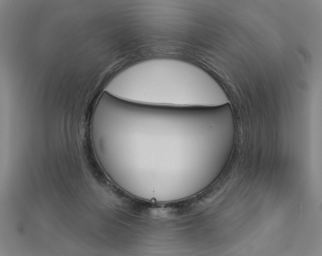 X0000112980216200908270925