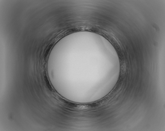X0000112980218200908270925
