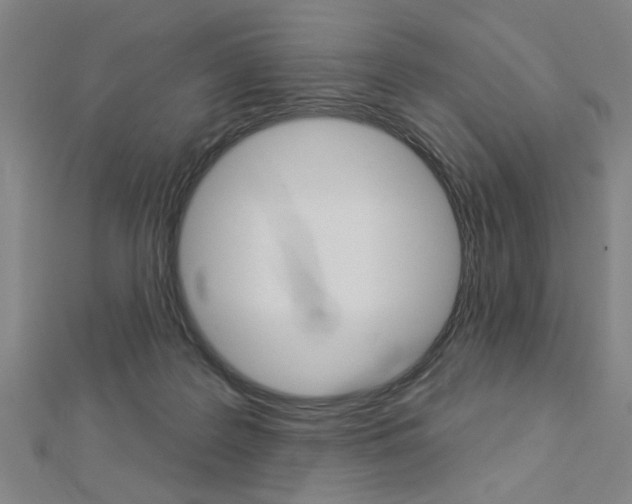 X0000112980219200908270925