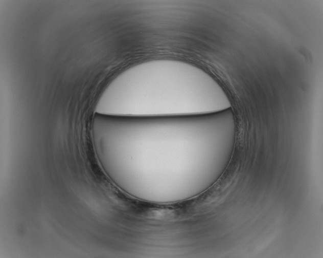 X0000112980220200908270925