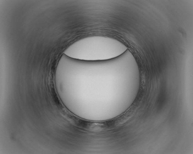 X0000112980222200908270925