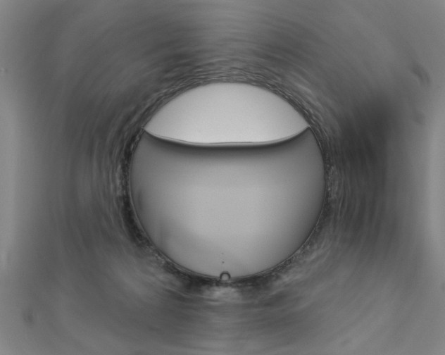 X0000112980224200908270925
